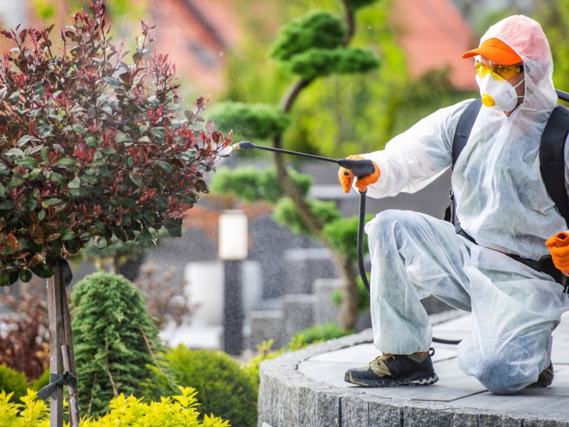 Özdere Haşere İlaçlama