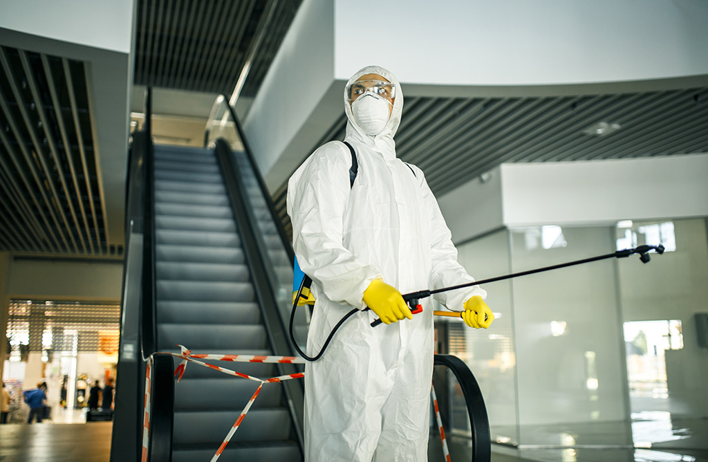 Özdere Haşere İlaçlama